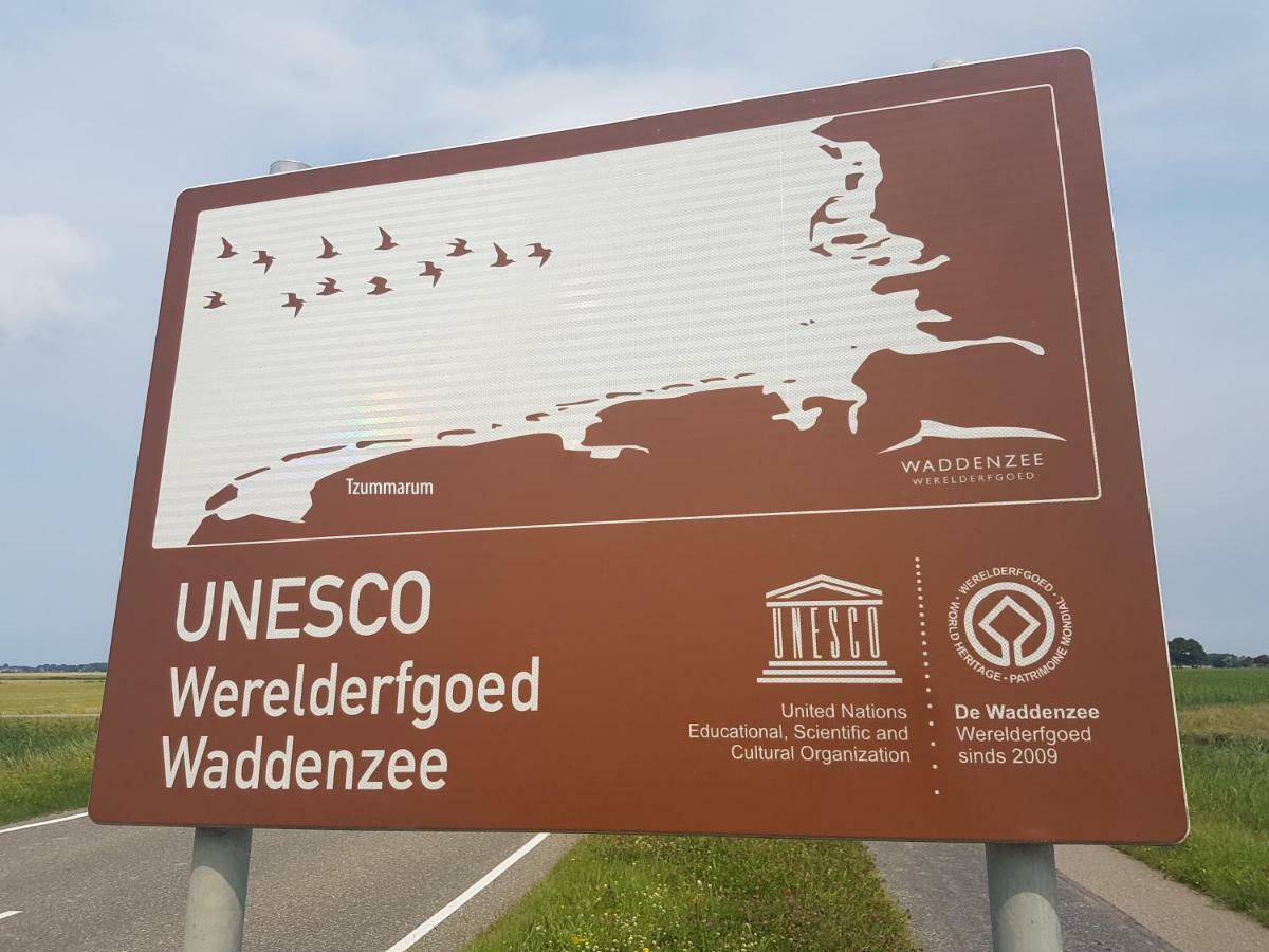 "Wattengebiet Entdeckungsreise" Tzummarum エクステリア 写真